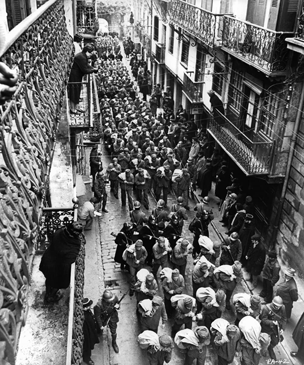 パピヨンの画像