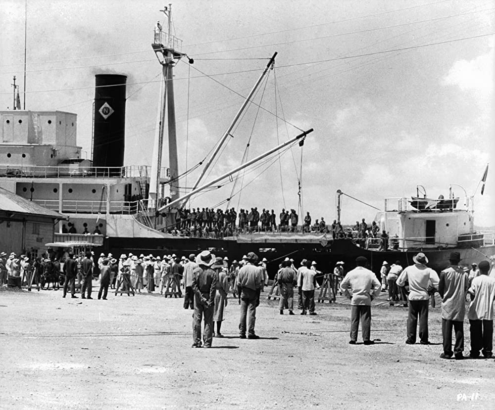 パピヨンの画像