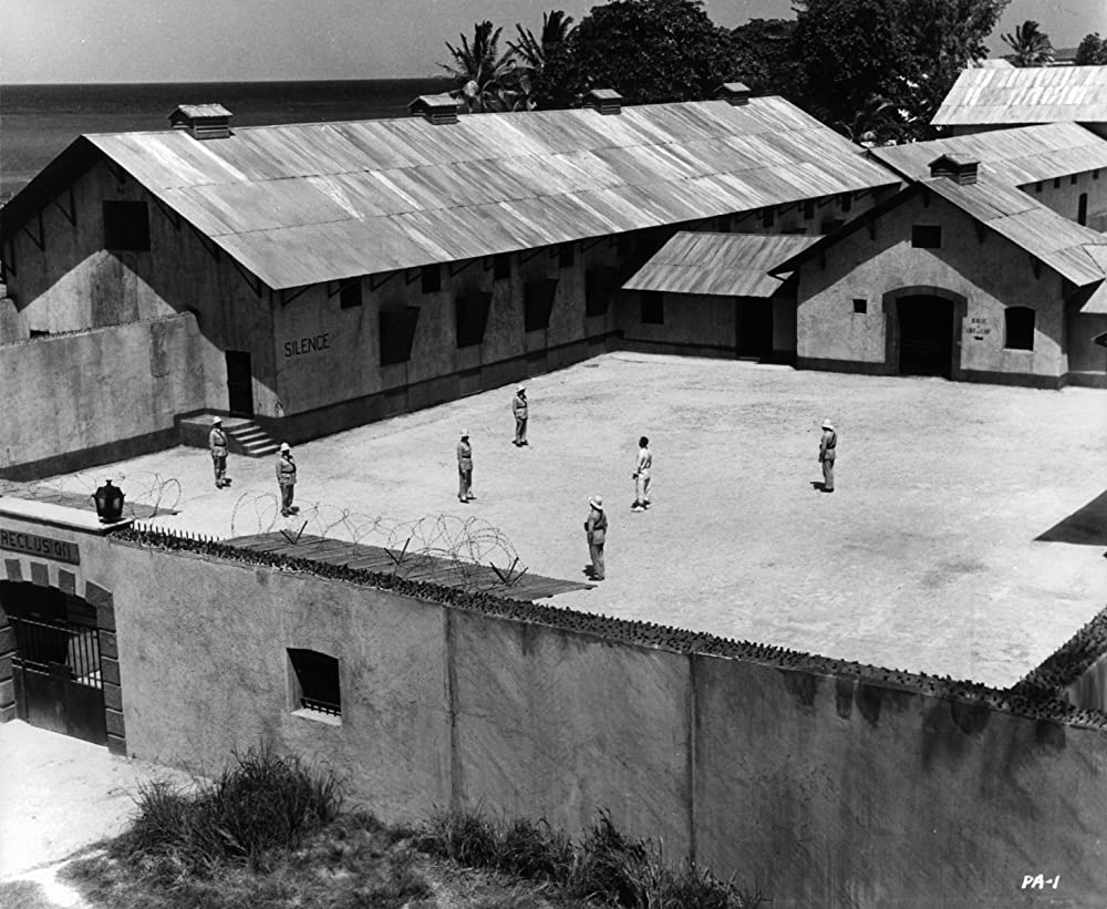 パピヨンの画像