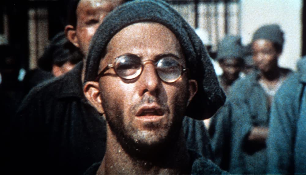 パピヨンの画像