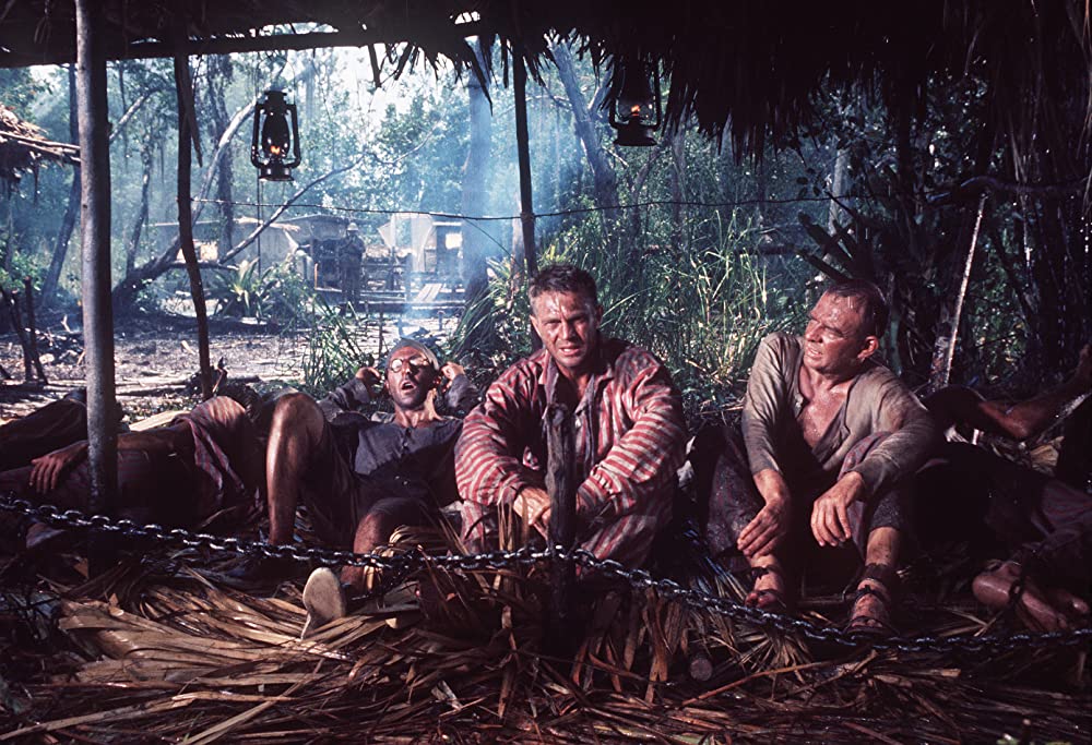 パピヨンの画像