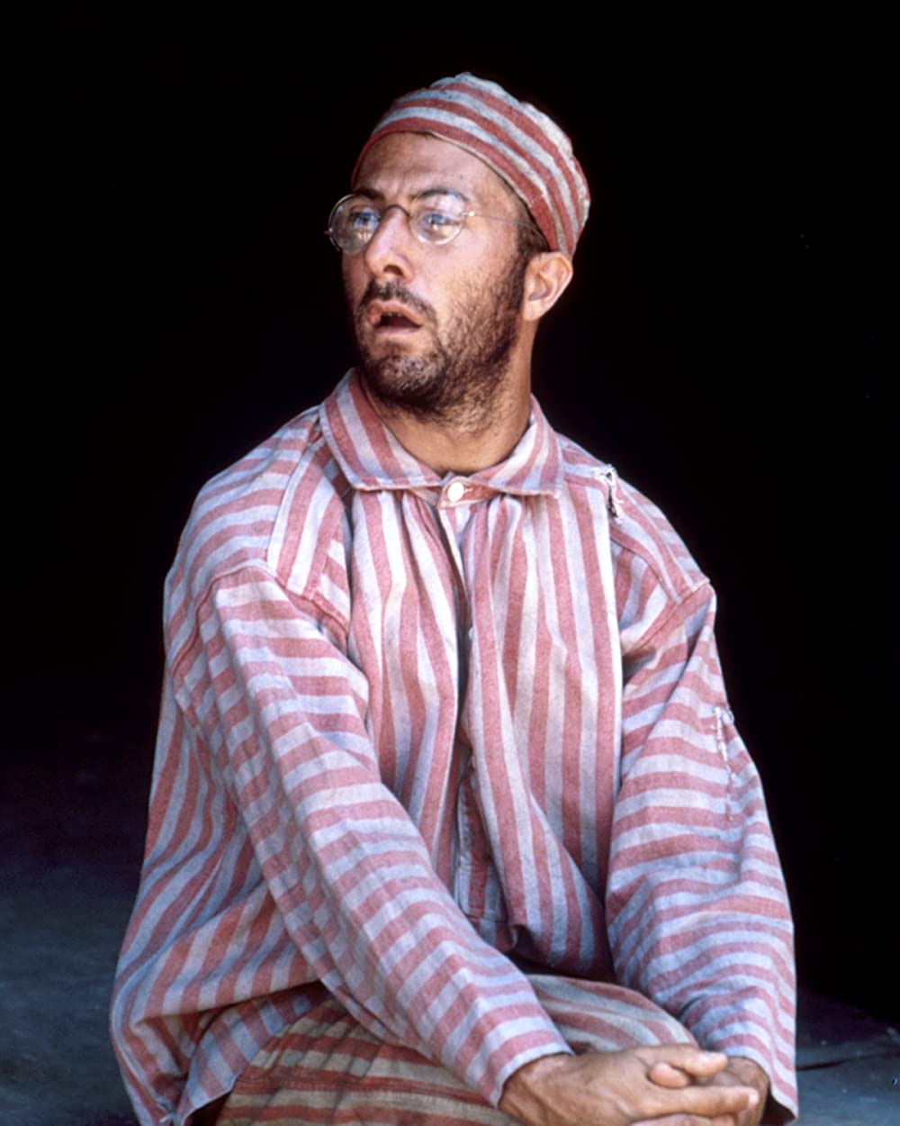 パピヨンの画像