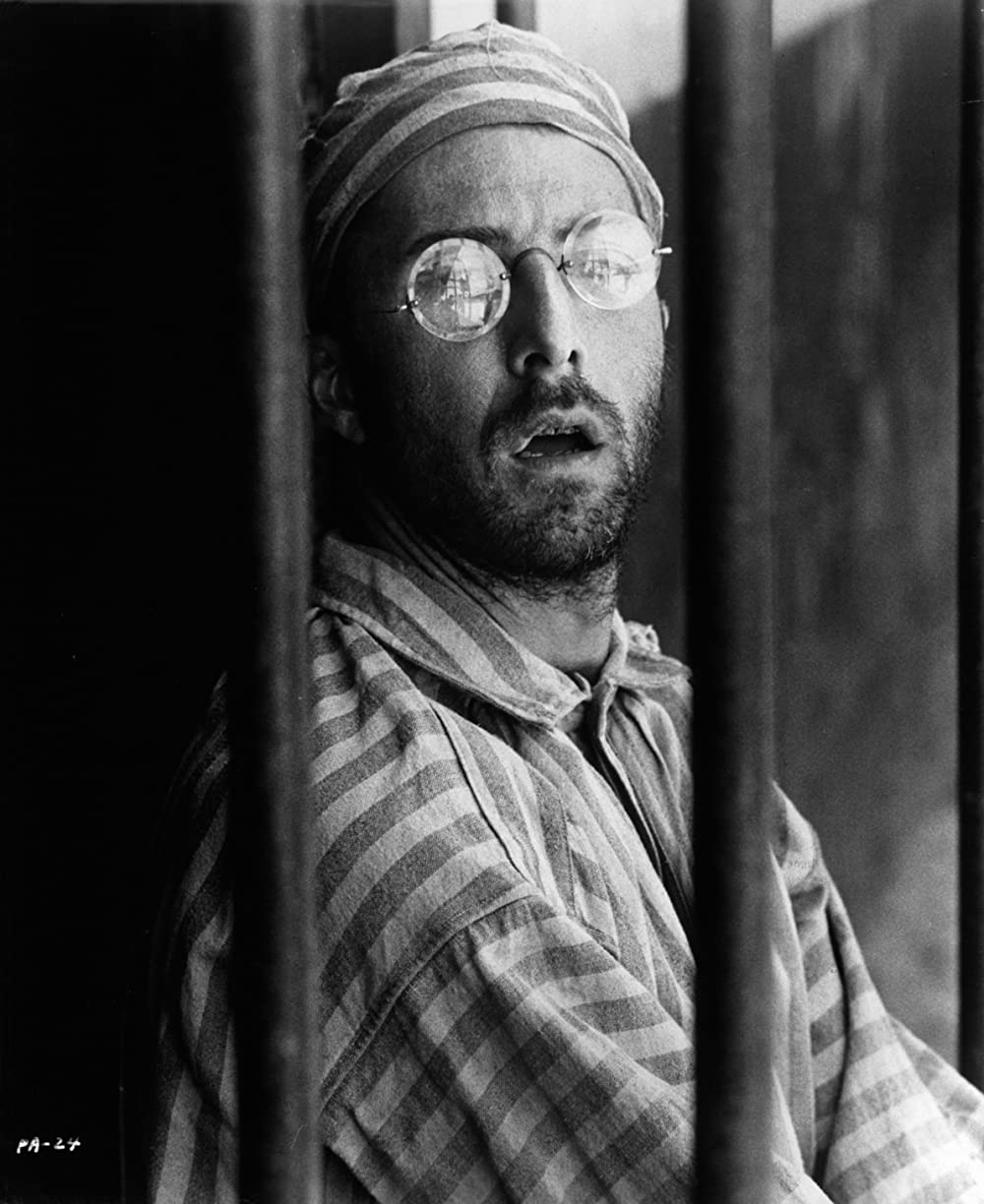 パピヨンの画像