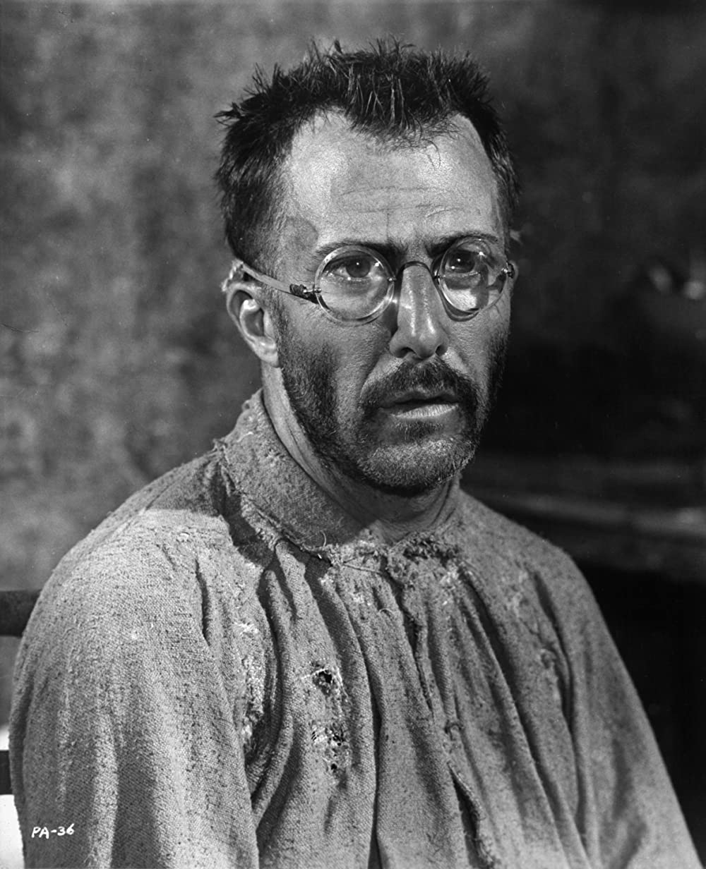 パピヨンの画像