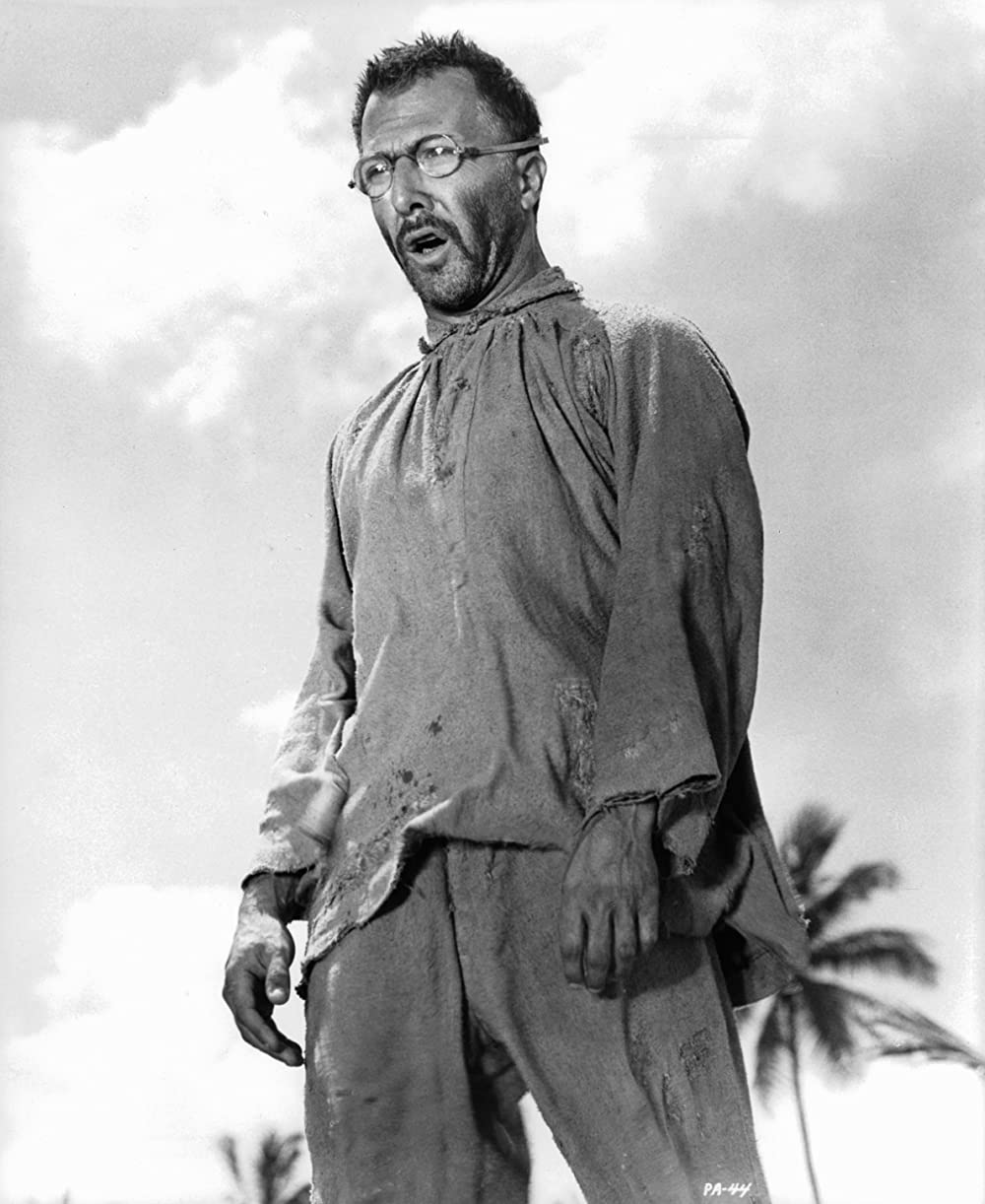 パピヨンの画像