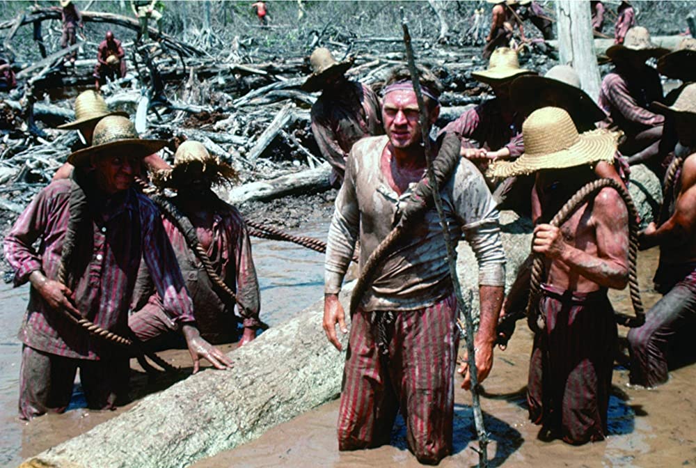 パピヨンの画像