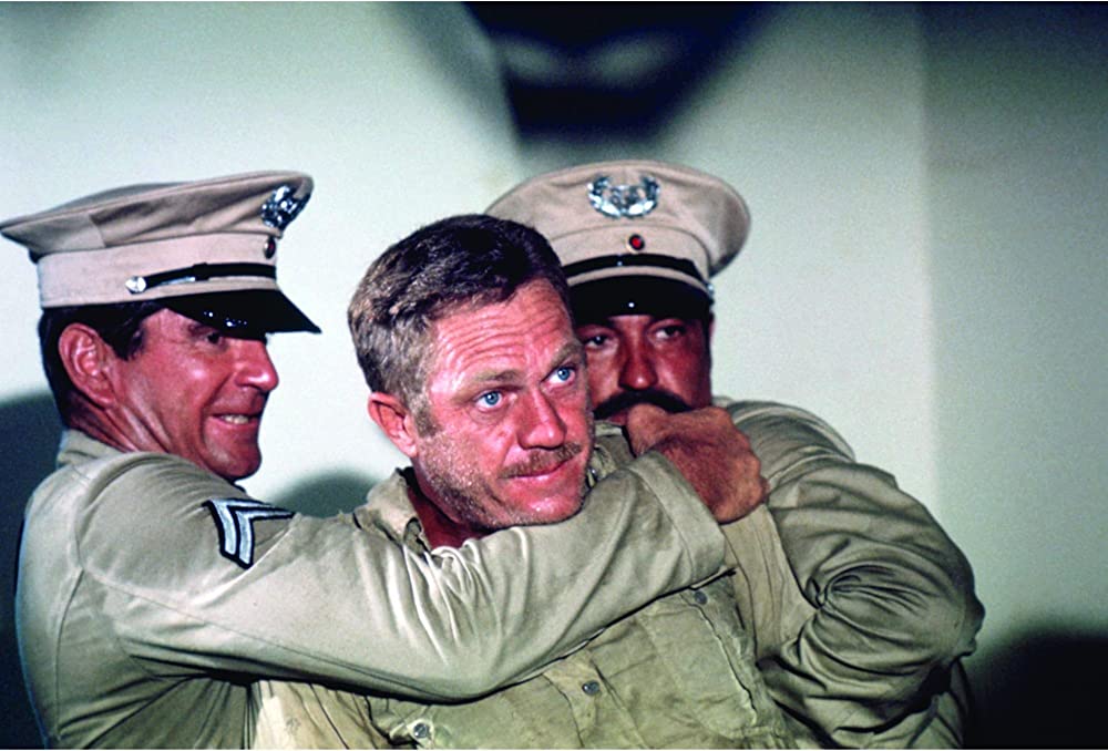 パピヨンの画像