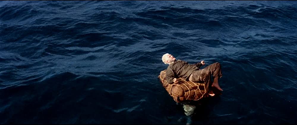 パピヨンの画像