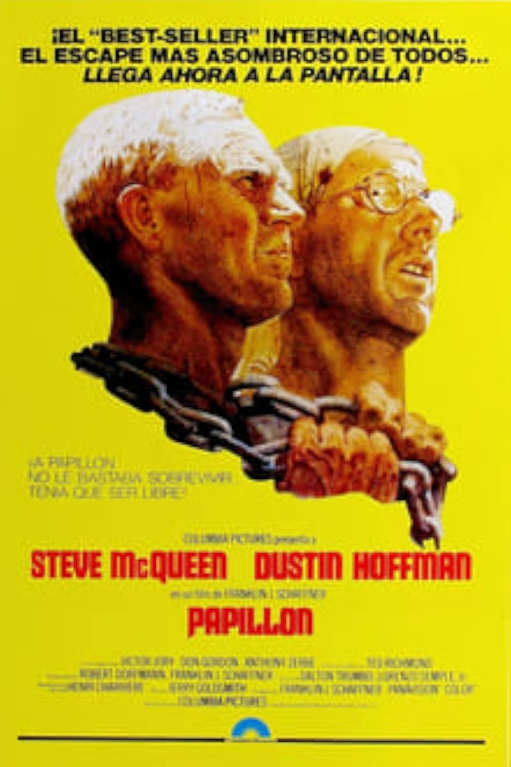 パピヨンの画像