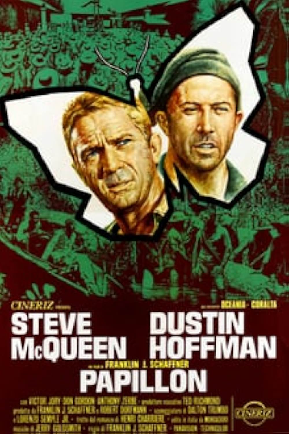 パピヨンの画像