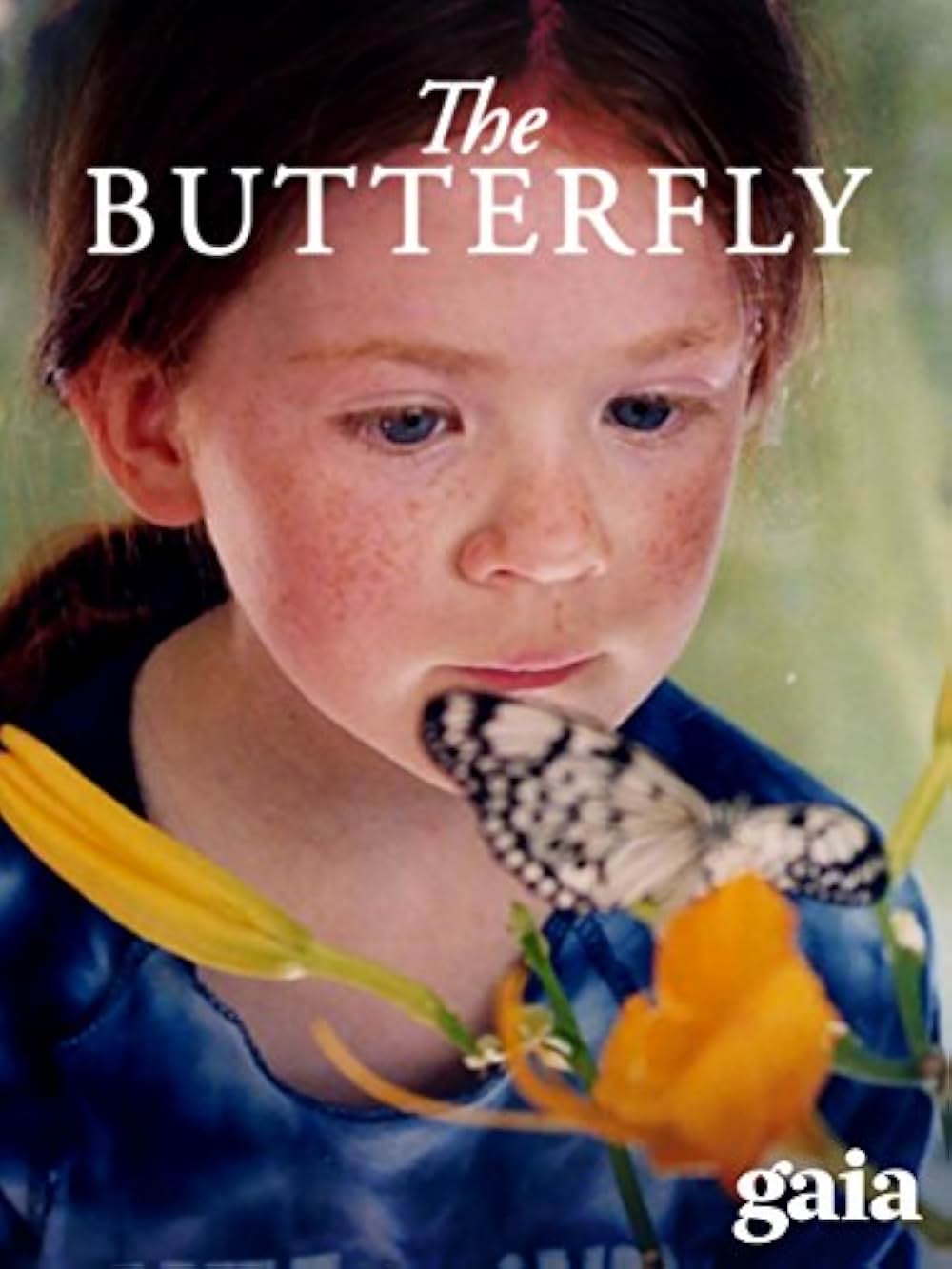 パピヨンの贈りものの画像