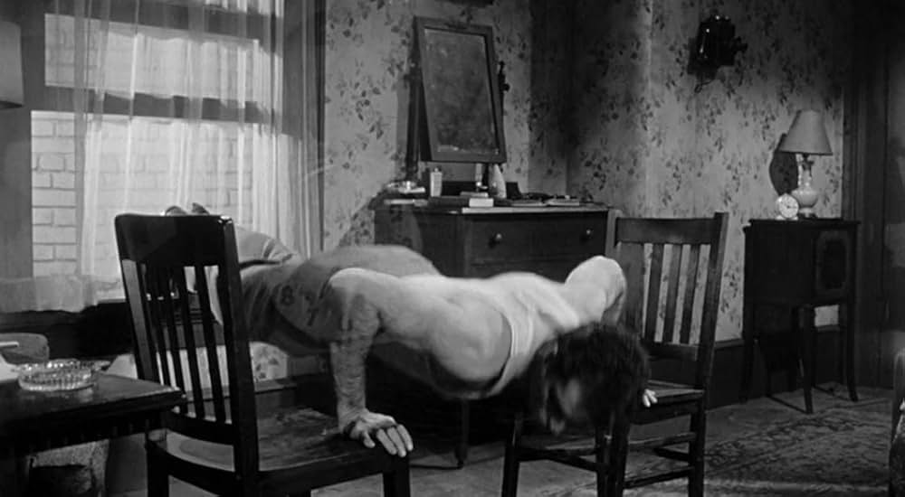 「契約殺人」の画像