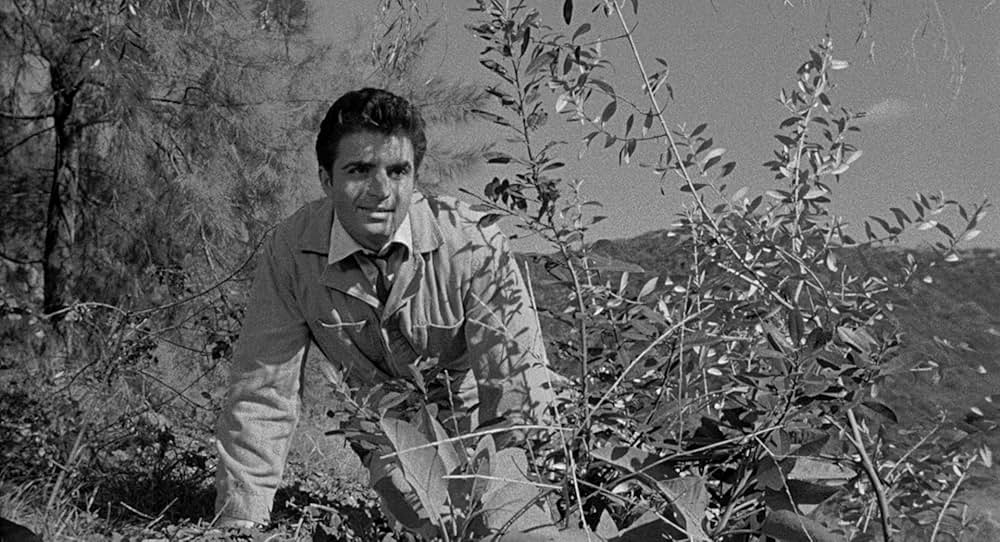 契約殺人の画像