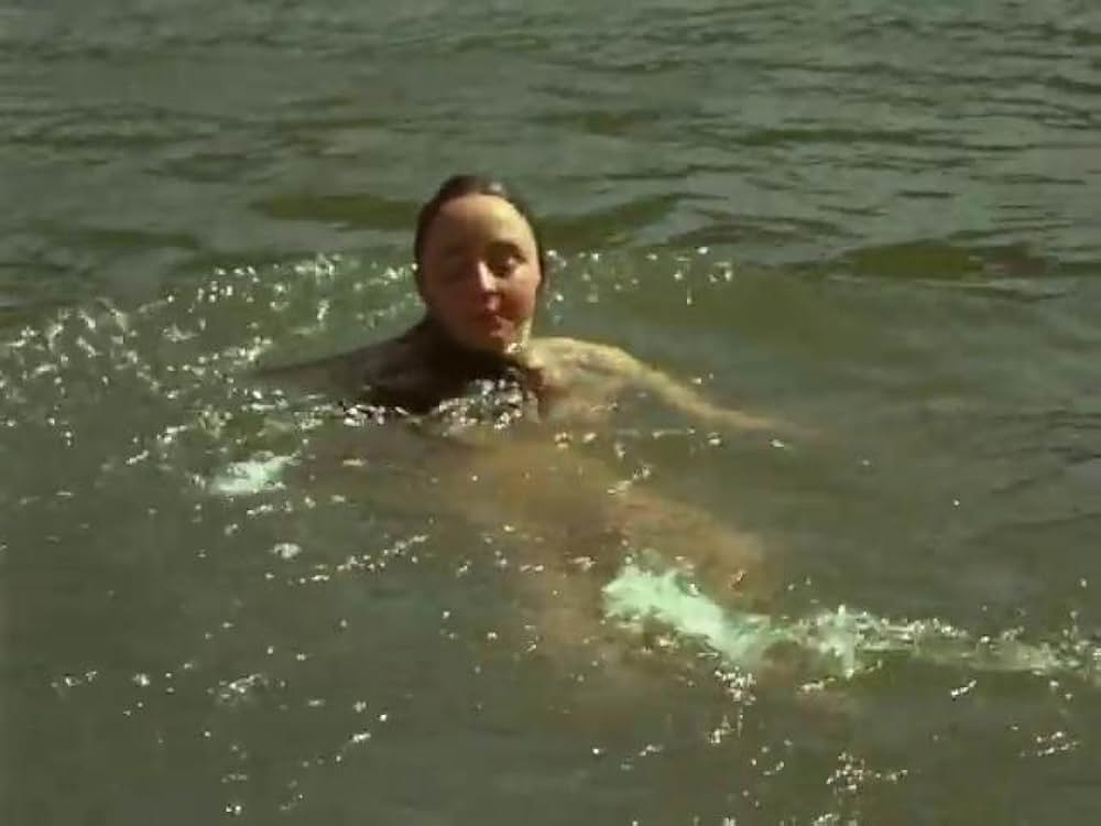 シルヴェストレの画像