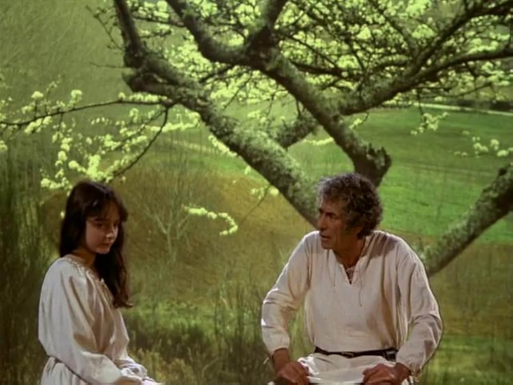 シルヴェストレの画像