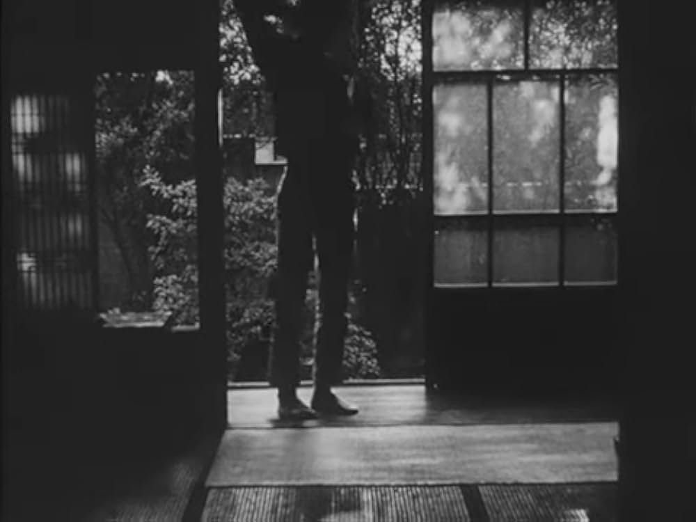 猫と少年の写真