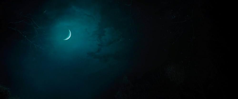 ワイルドリング 変身する少女の画像