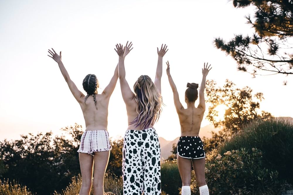 誓いのリスト／最高の親友の見つけ方の画像