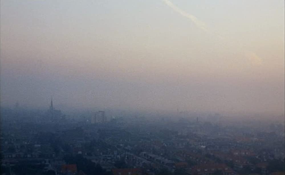 ルトガー・ハウアー／危険な愛の画像