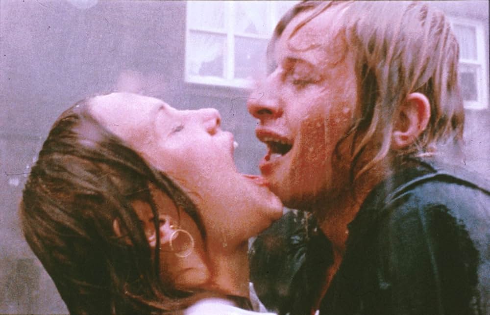 ルトガー・ハウアー／危険な愛の画像