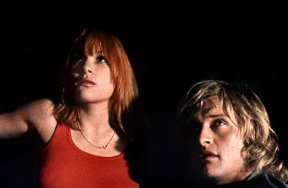 ルトガー・ハウアー／危険な愛の画像