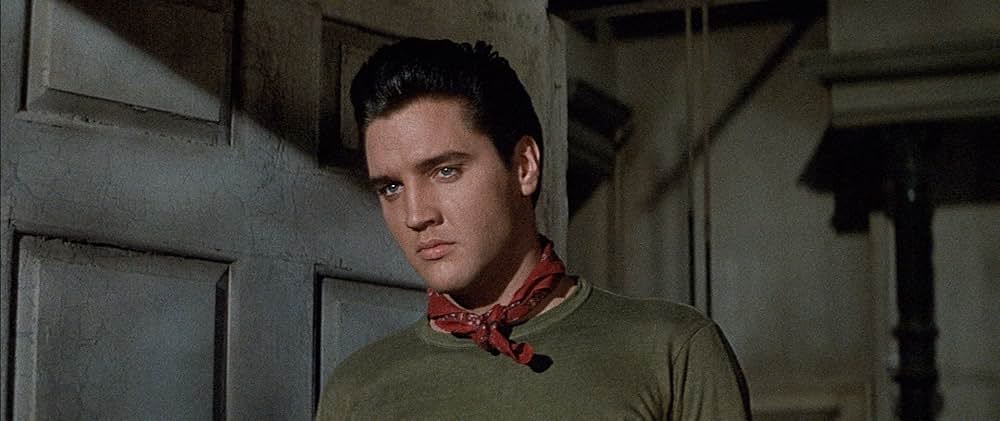 嵐の季節の画像