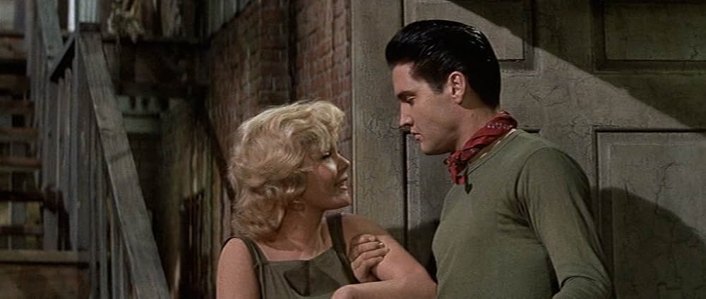 嵐の季節の画像