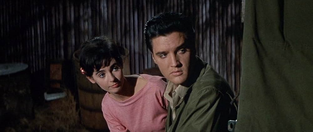 嵐の季節の画像