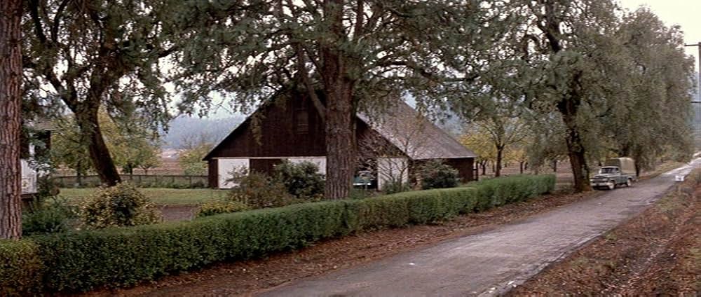 嵐の季節の画像