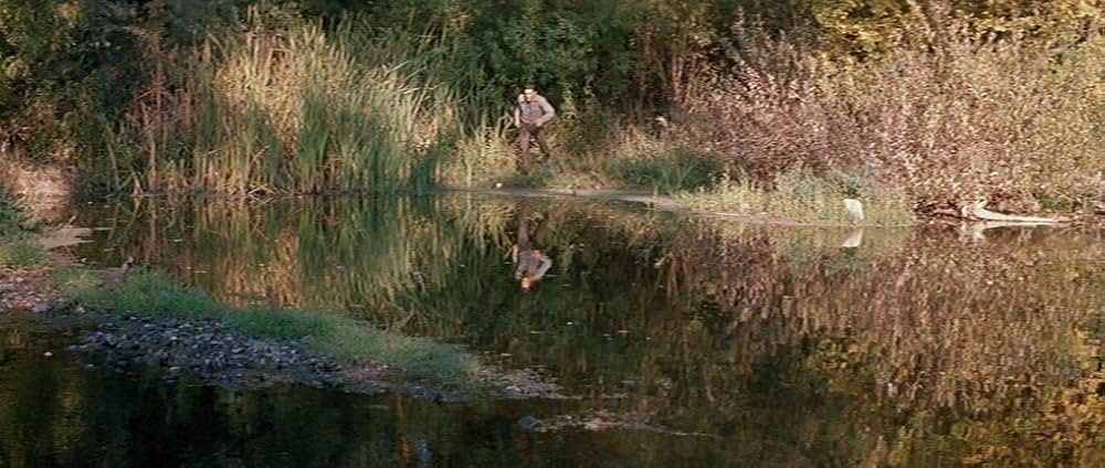 嵐の季節の画像