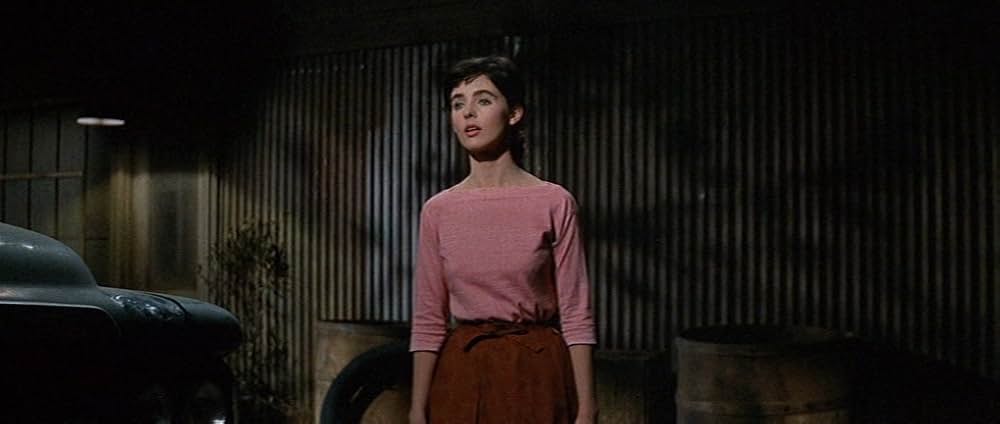 嵐の季節の画像