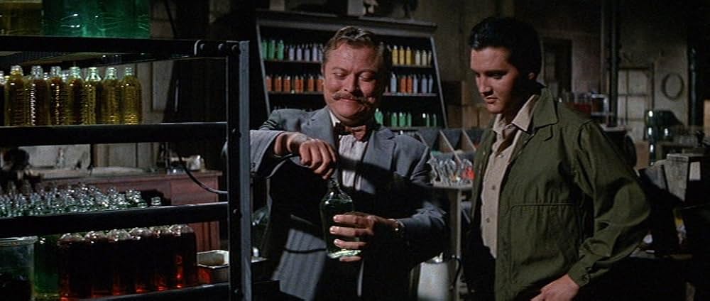 嵐の季節の画像