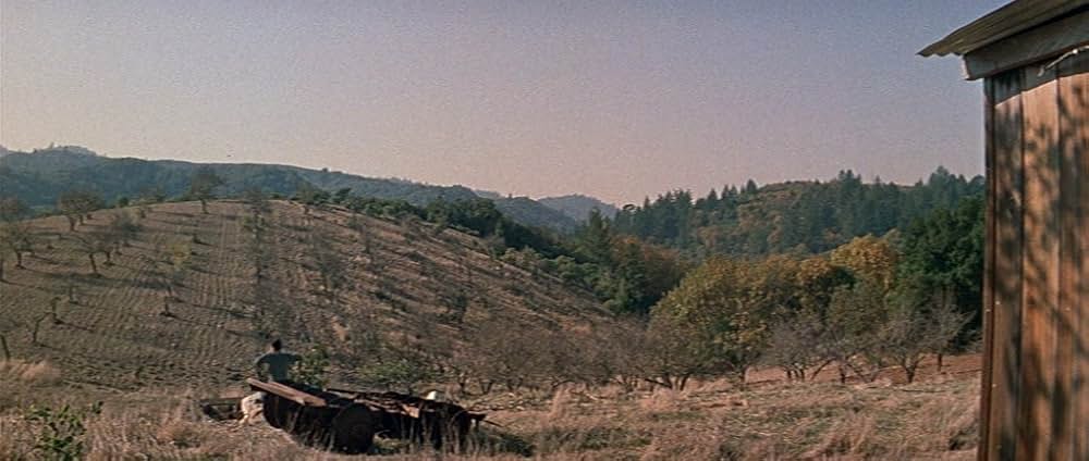 嵐の季節の画像