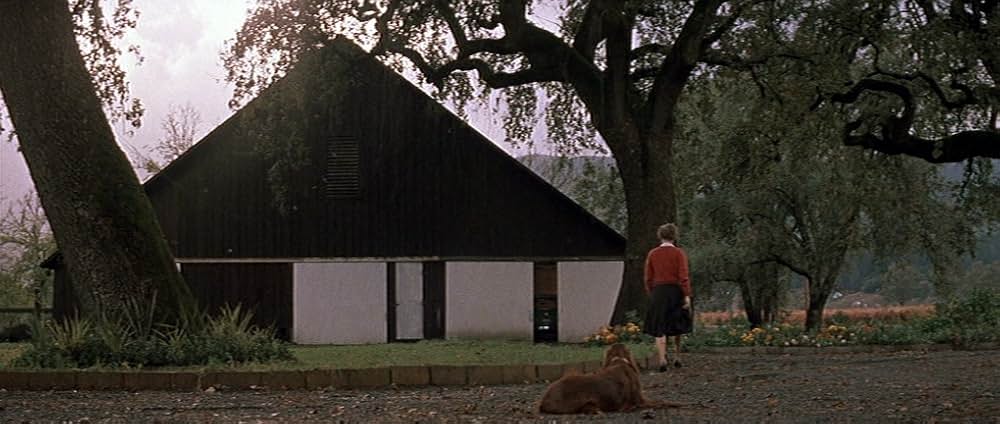 嵐の季節の画像