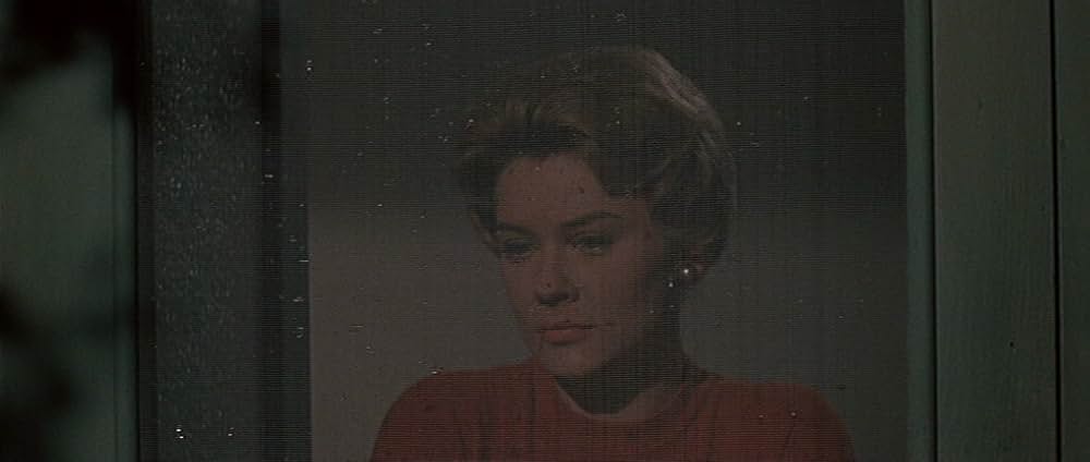 嵐の季節の画像