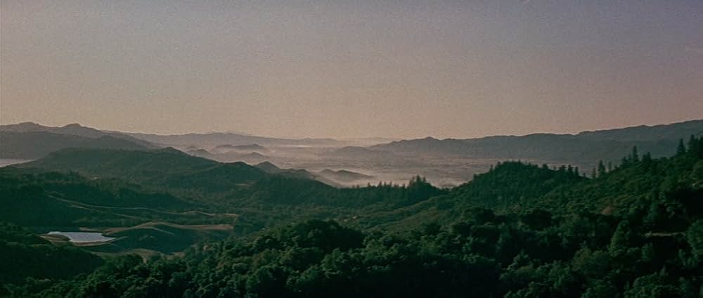 嵐の季節の画像