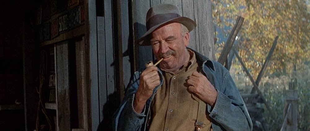 嵐の季節の画像