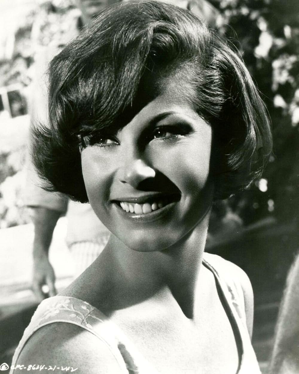 アカプルコの出来事の画像