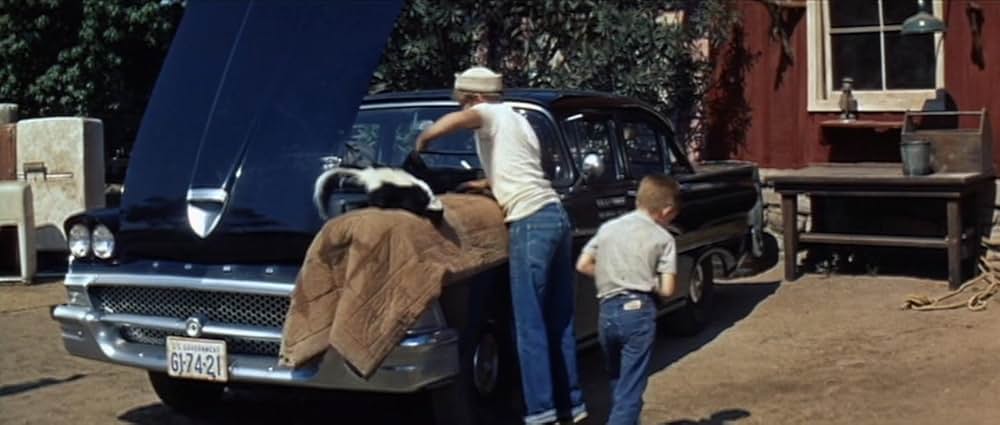 恋に税金はかからないの画像