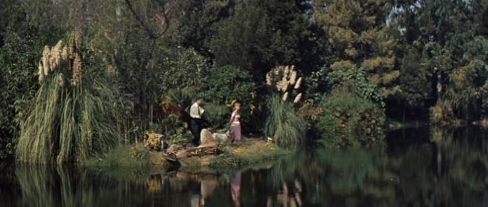 恋に税金はかからないの画像