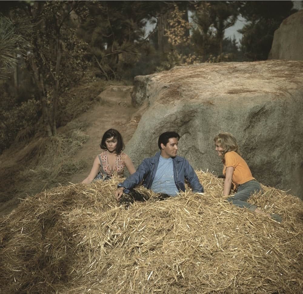 キッスン・カズンの画像