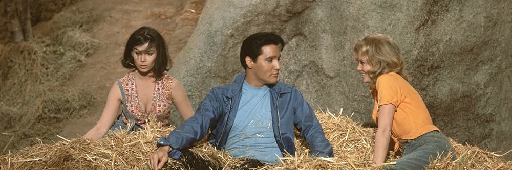 キッスン・カズンの画像