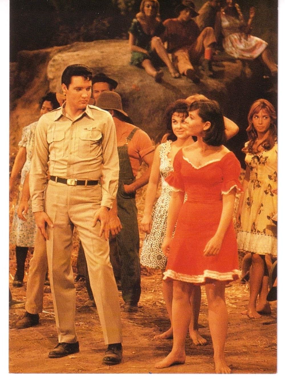 キッスン・カズンの画像