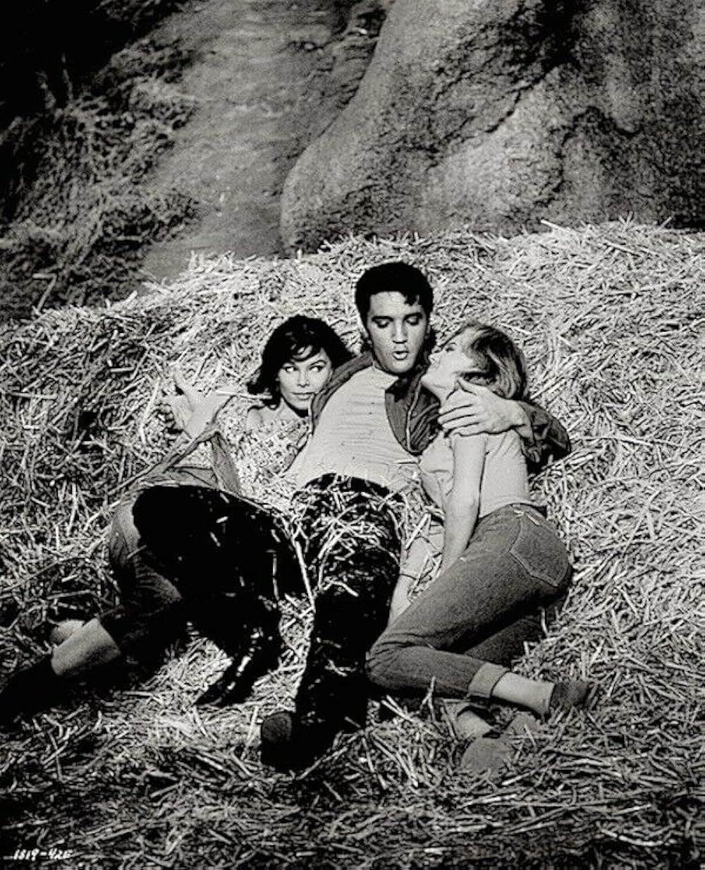 キッスン・カズンの画像