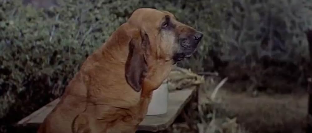 キッスン・カズンの画像