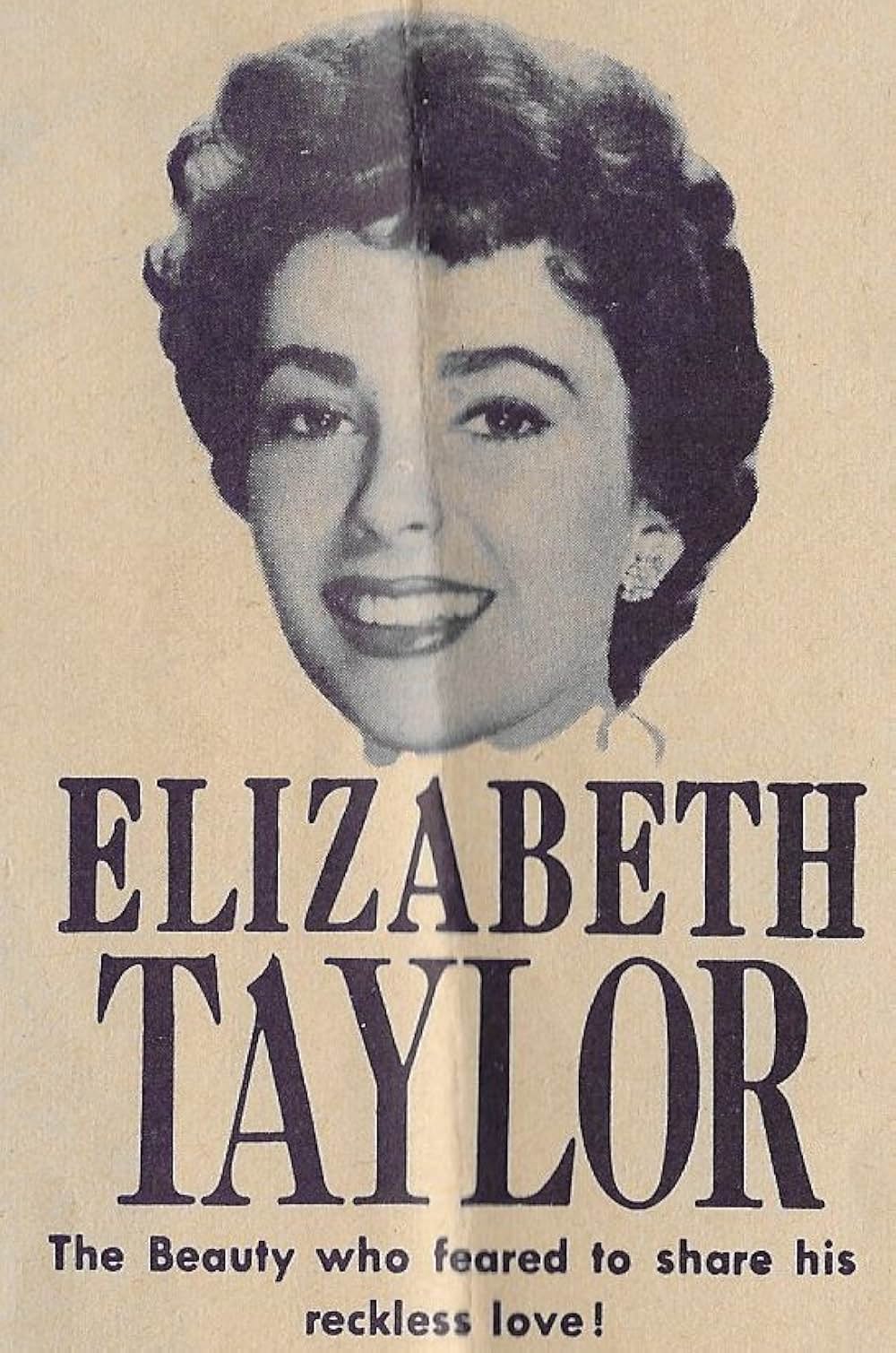 騎士ブランメルの画像