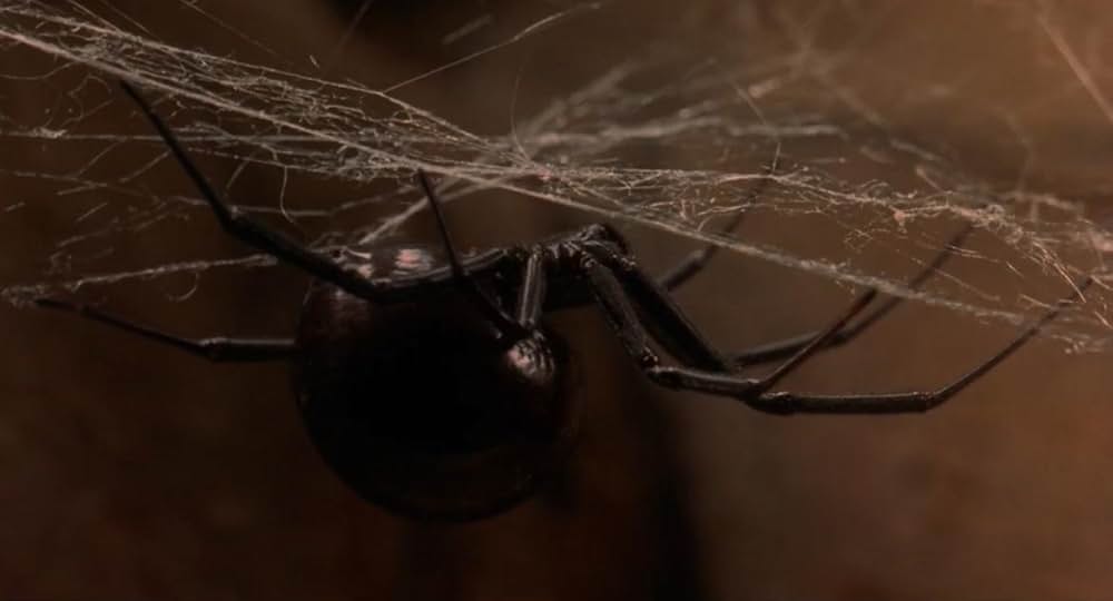 インベージョン・オブ・ザ・ビー・ガールズ〜蜂女〜の画像