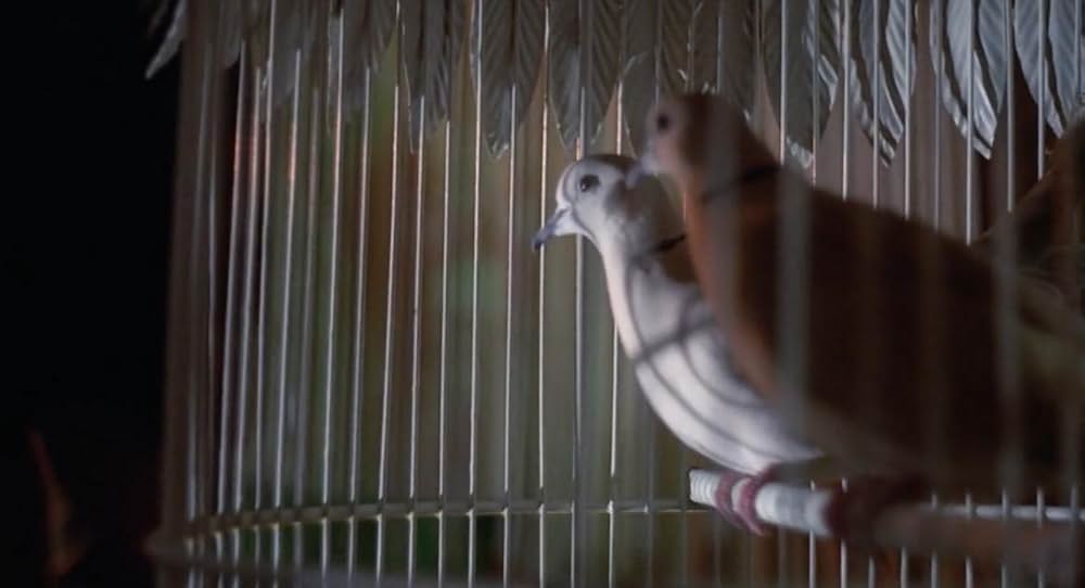 インベージョン・オブ・ザ・ビー・ガールズ〜蜂女〜の画像