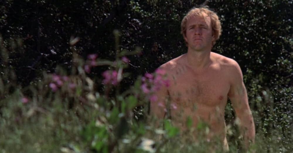 インベージョン・オブ・ザ・ビー・ガールズ〜蜂女〜の画像