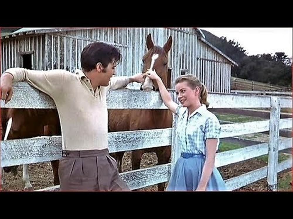 さまよう青春の画像